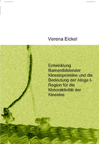 Entwicklung filamentbildender Kinesinproteine und die Bedeutung der Hinge I-Region für die Motoraktivität der Kinesine Medicine
