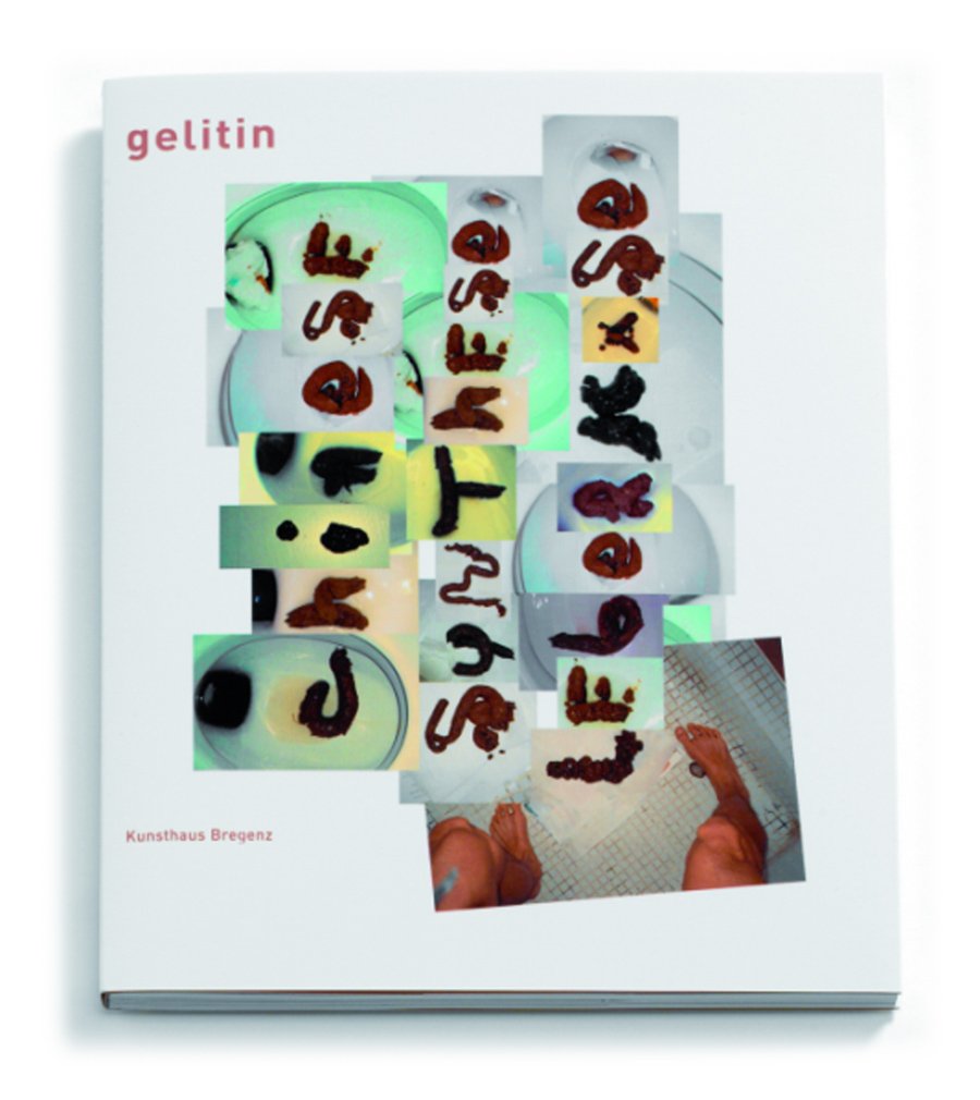 Gelitin (o.a. Gelatin). Chinese Synthese Leberkäse: Dt. /Engl. Architecture