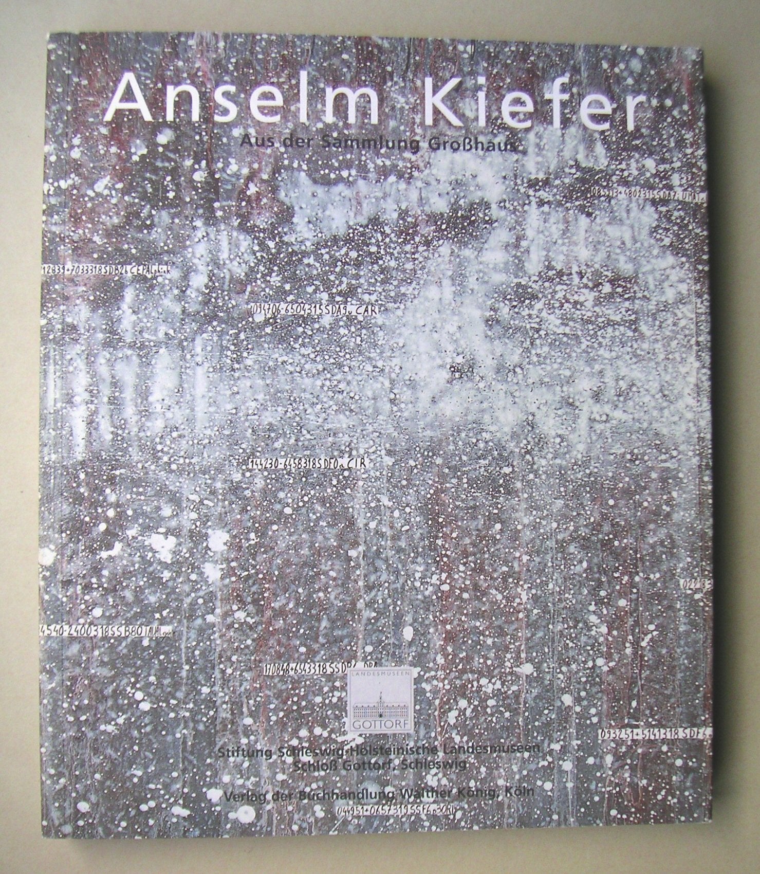 Anselm Kiefer: Objekte, Gemalde Und Arbeiten Auf Papier Aus Der Sammlung Grosshaus book