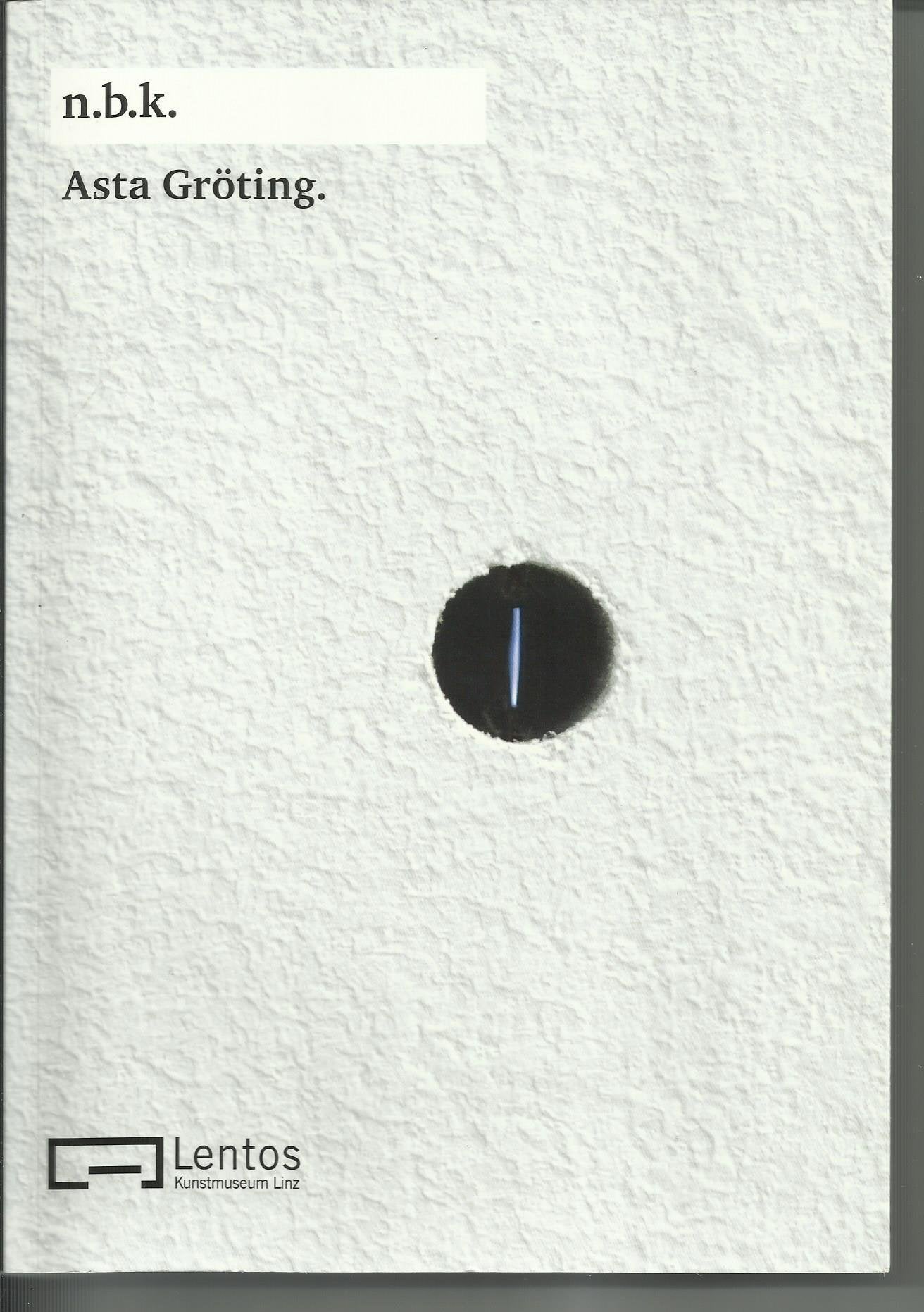 Asta Gröting. n.b.k. Ausstellung Bd. 7 Film, Art & Culture