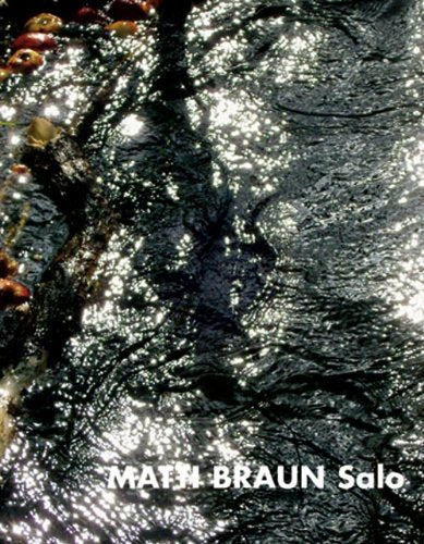 Matti Braun.Salo: Hrsg.: Kunstverein Braunschweig Books