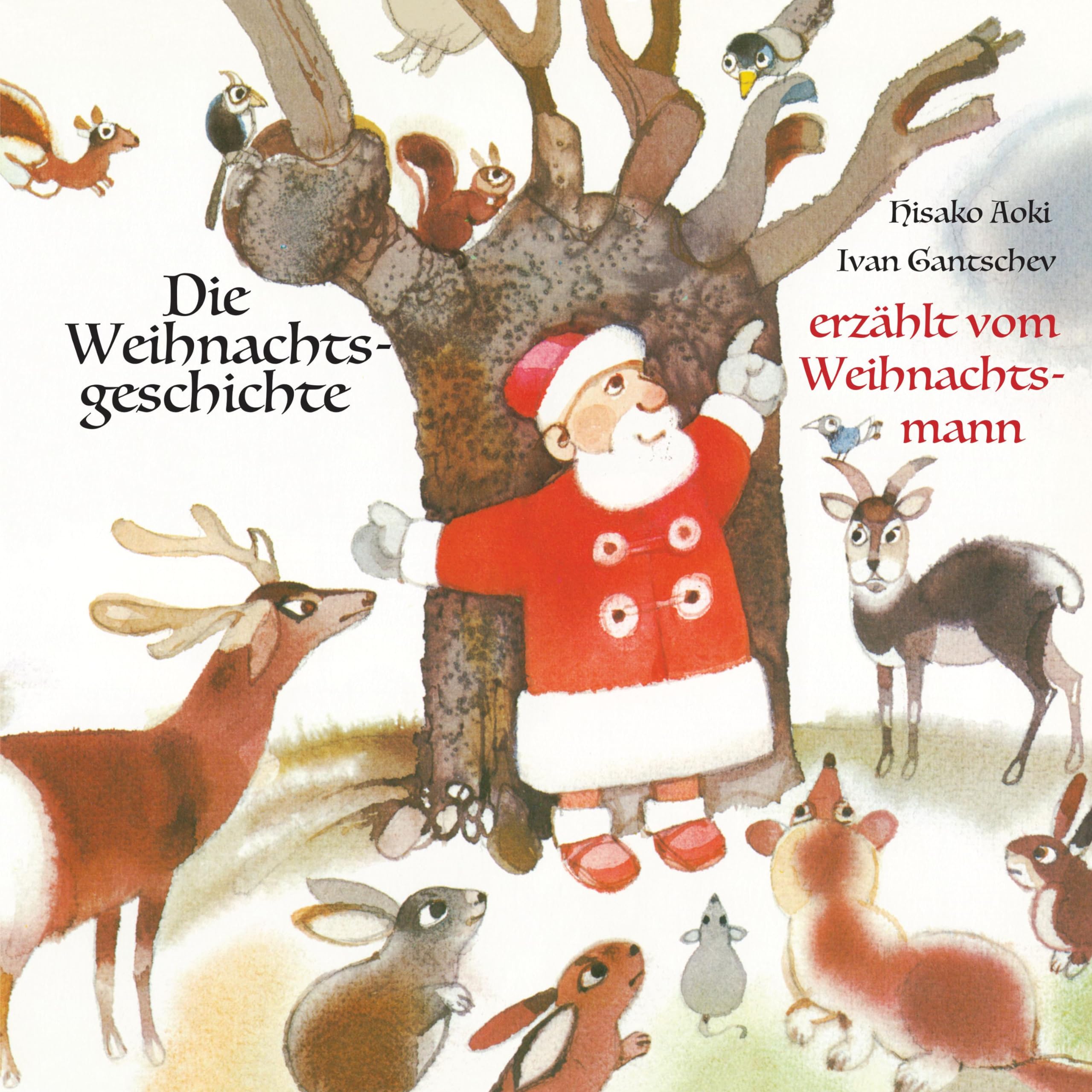 Die Weihnachtsgeschichte Non-fiction books for kids