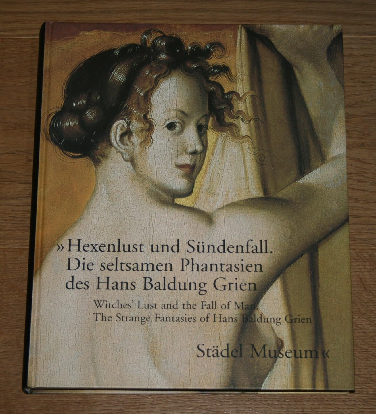 Hexenlust und Sündenfall /The Lust of Witches and the Fall of Man: Die seltsamen Phantasien des Hans Baldung Grien /Hans Baldung Grien and his strange ... / The Strange Fantasies of Hans Baldung Grien Art & Literature Books
