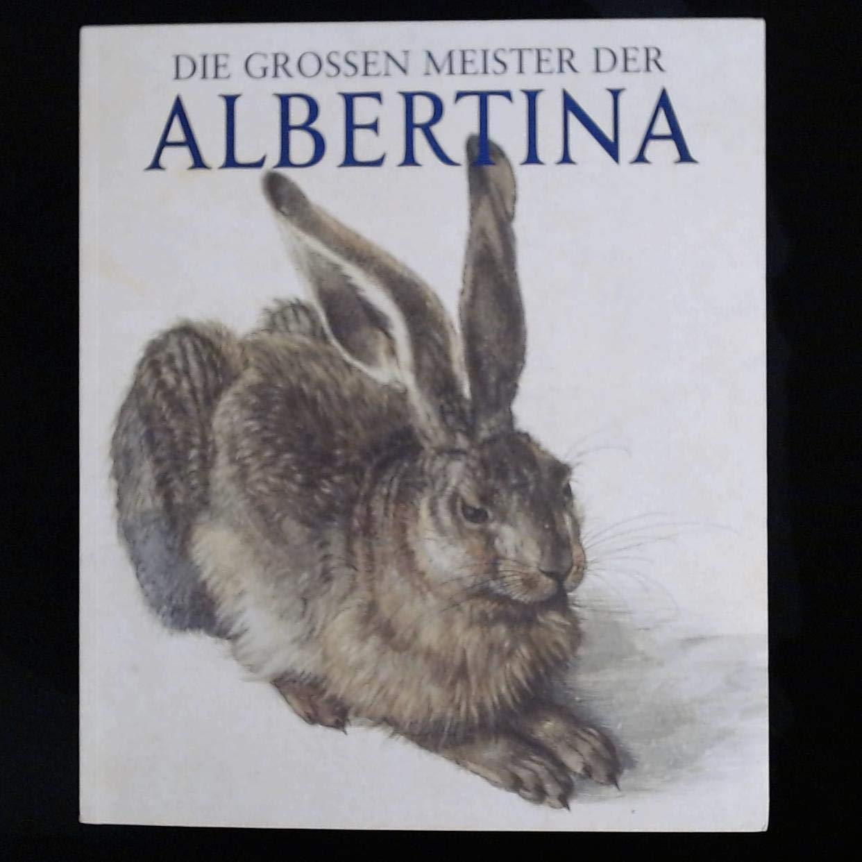 Die großen Meister der Albertina Books