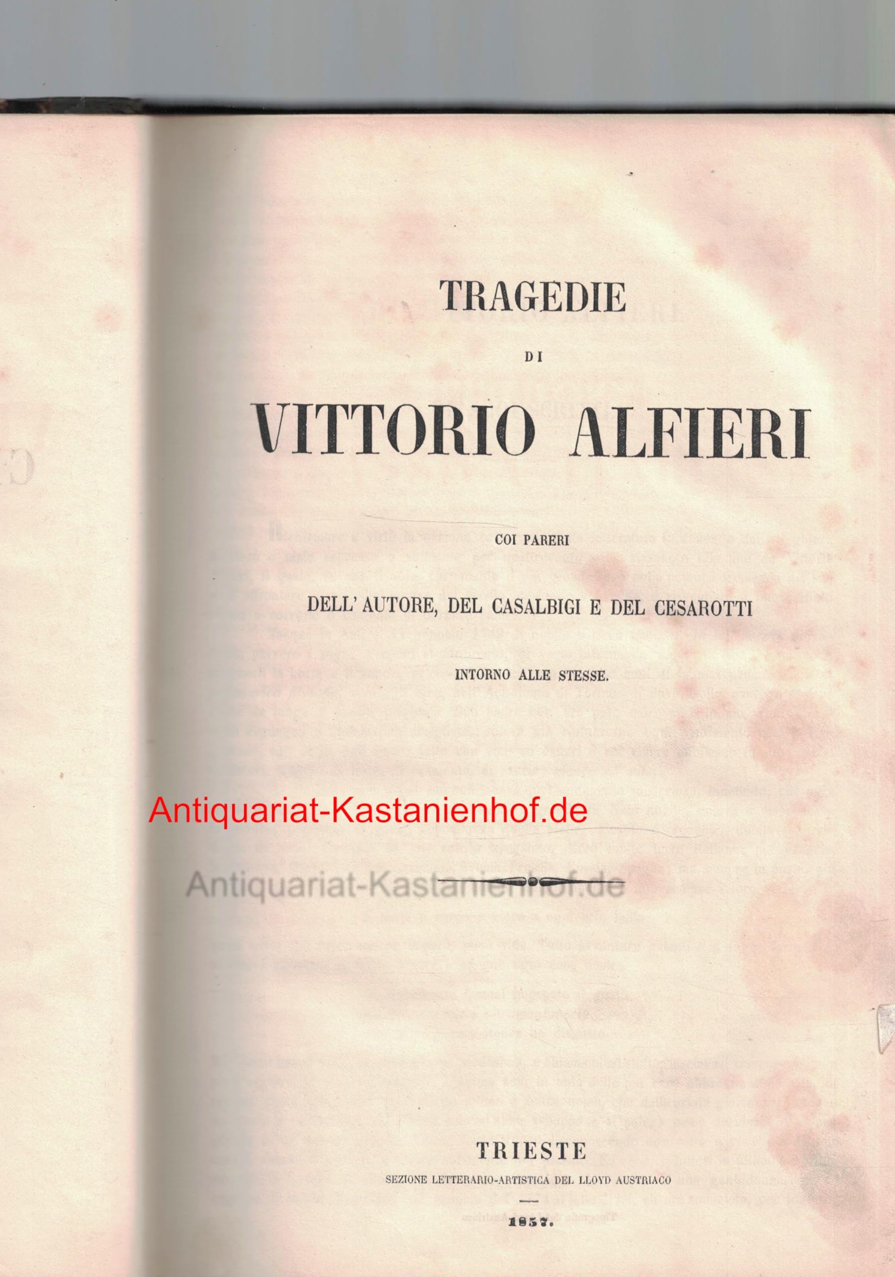 HEIMWEH NACH DEM KURFÜRSTENDAMM book