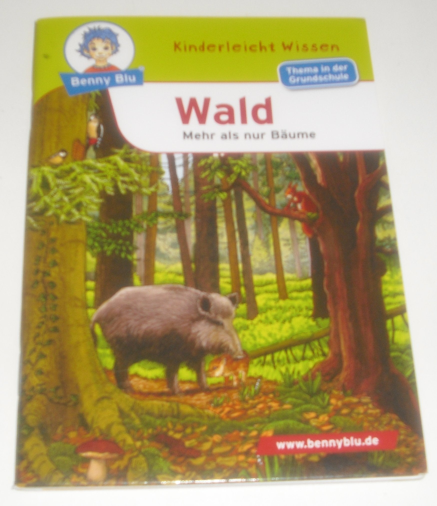 Benny Blu - Wald: Mehr als nur Bäume Books