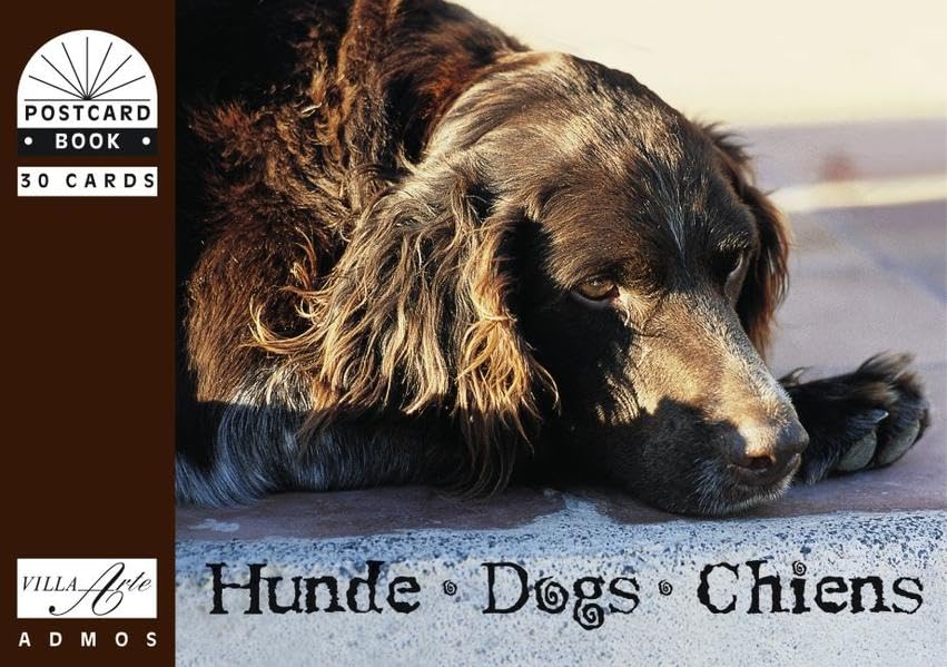 Product Image: Hunde /Dogs /Chiens: Postkartenbuch