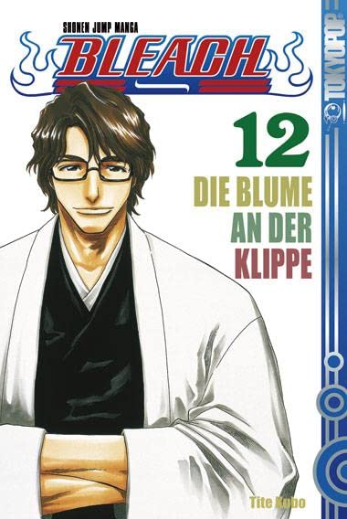 Bleach 12 Manga