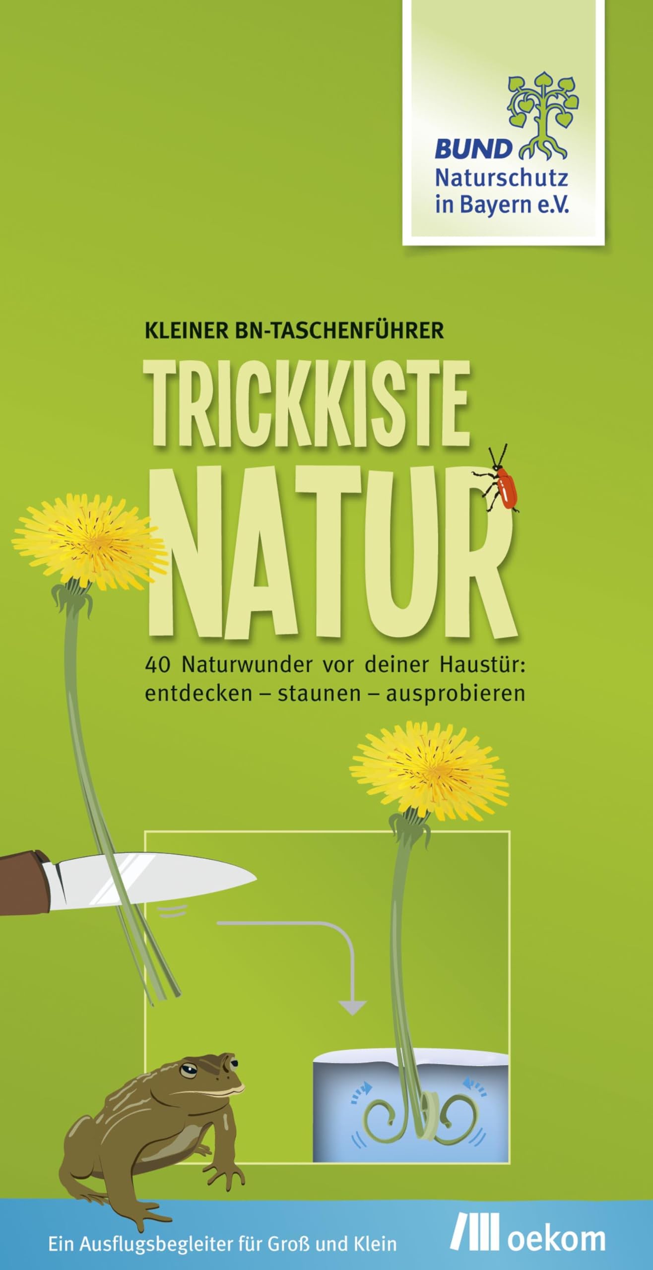 Trickkiste Natur: 40 Naturwunder vor deiner Haustür: entdecken – staunen – ausprobieren Leisure, Home & Garden