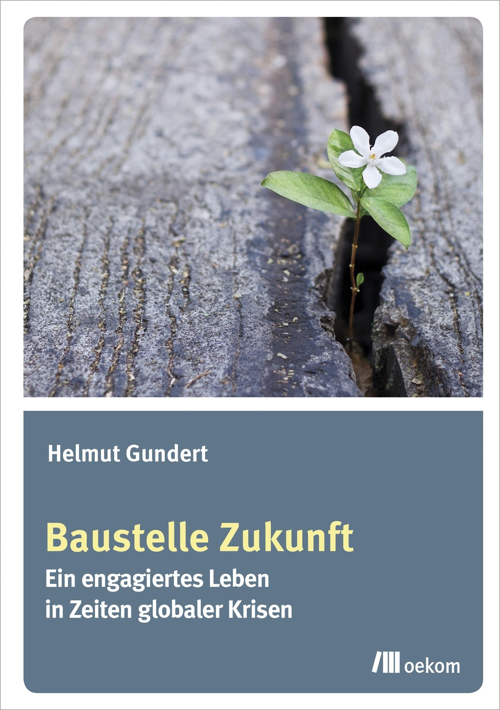 Baustelle Zukunft: Ein engagiertes Leben in Zeiten globaler Krisen Books