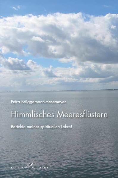 Himmlisches Meeresflüstern: Berichte meiner spirituellen Lehre! Religion & Esotericism