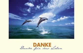 Product Image: Danke: Frey Card 7