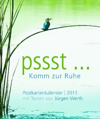 pssst ... Komm zur Ruhe 2011: Postkartenkalender Computer Science