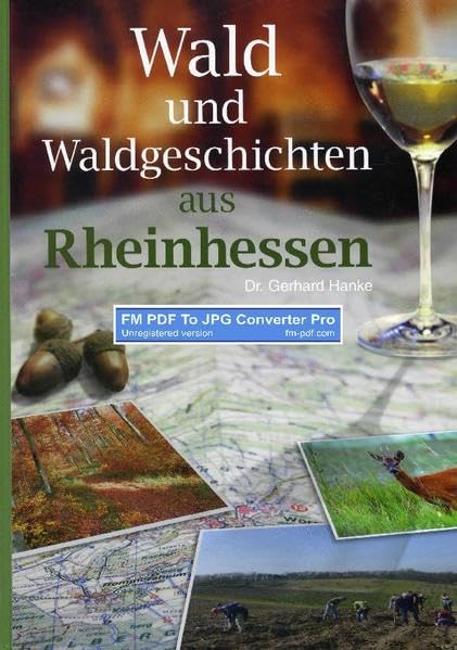 Wald und Waldgeschichten aus Rheinhessen Business & Technology
