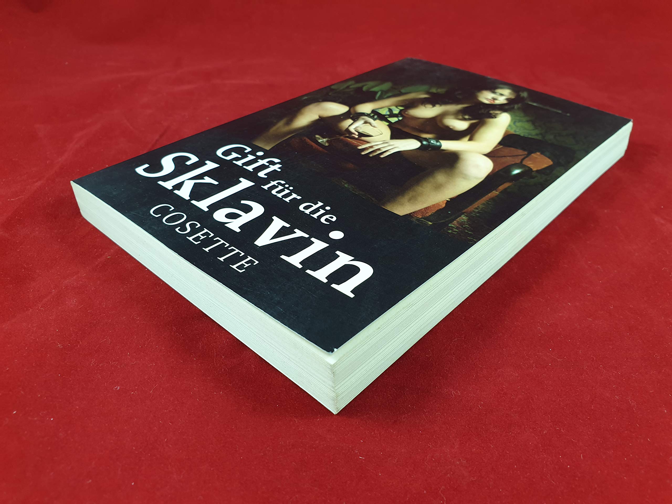 Gift für die Sklavin Contemporary literature
