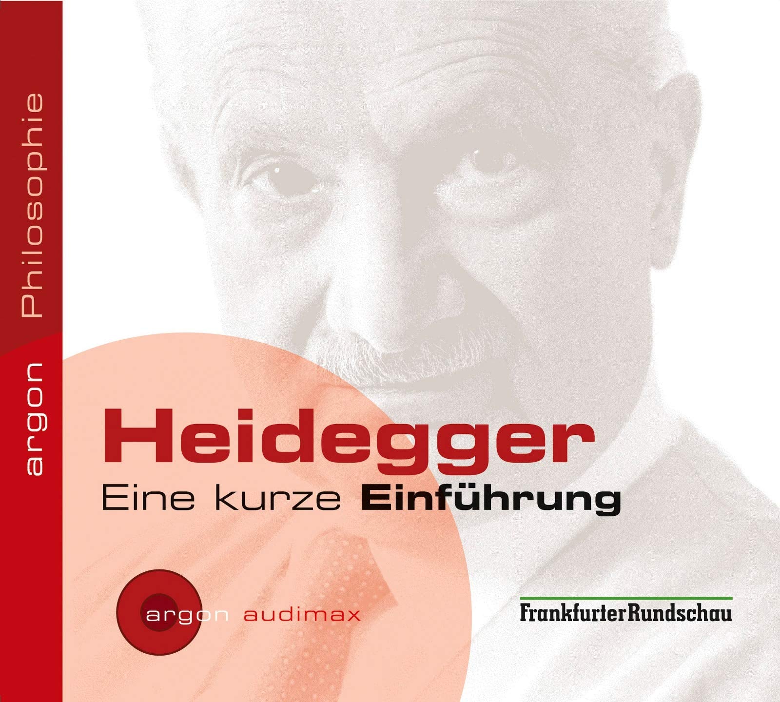 Heidegger: Eine kurze Einführung Philosophy Books