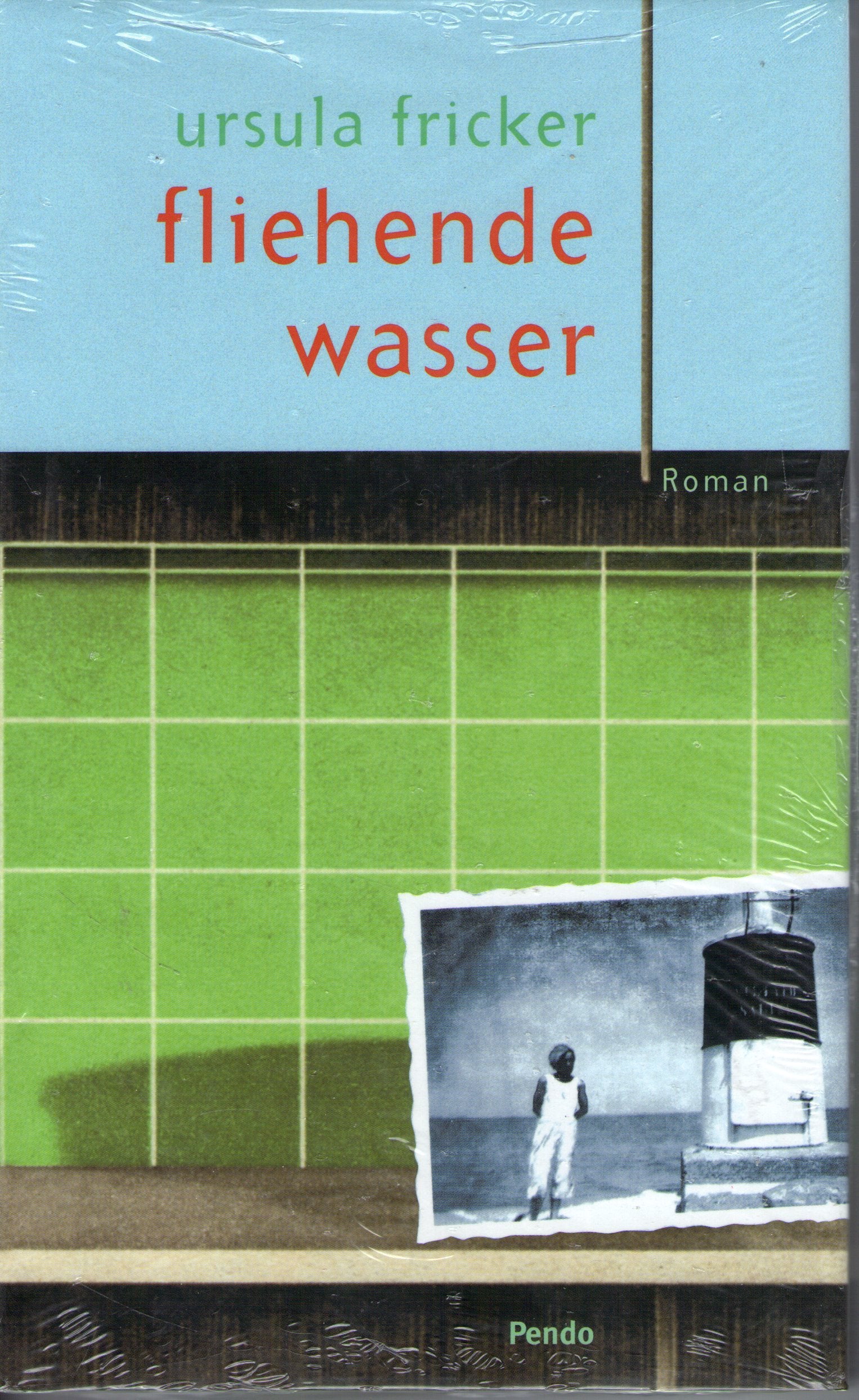 Fliehende Wasser: Roman Fiction