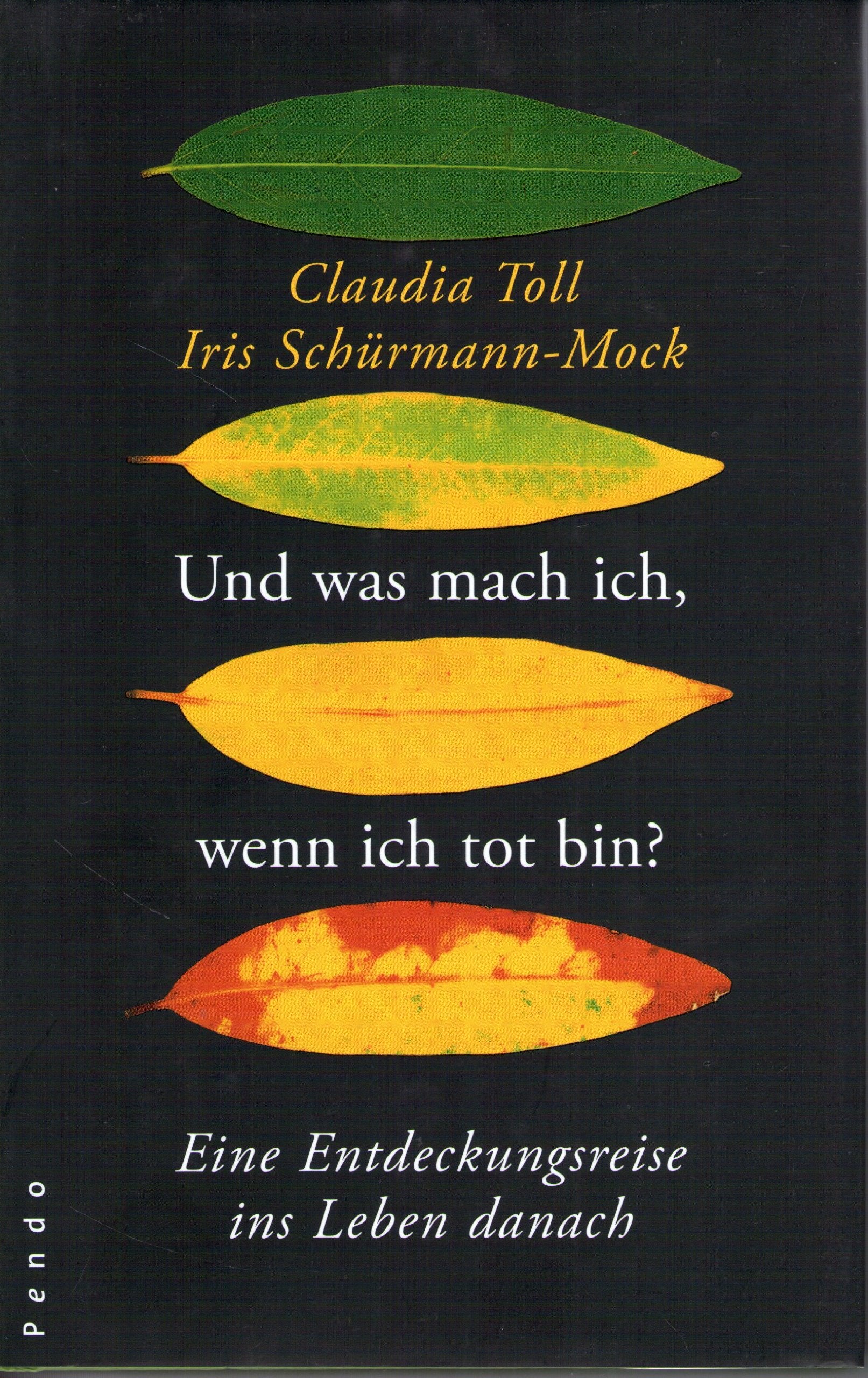 Und was mach ich, wenn ich tot bin?: Eine Entdeckungsreise ins Leben danach Religion & Esotericism
