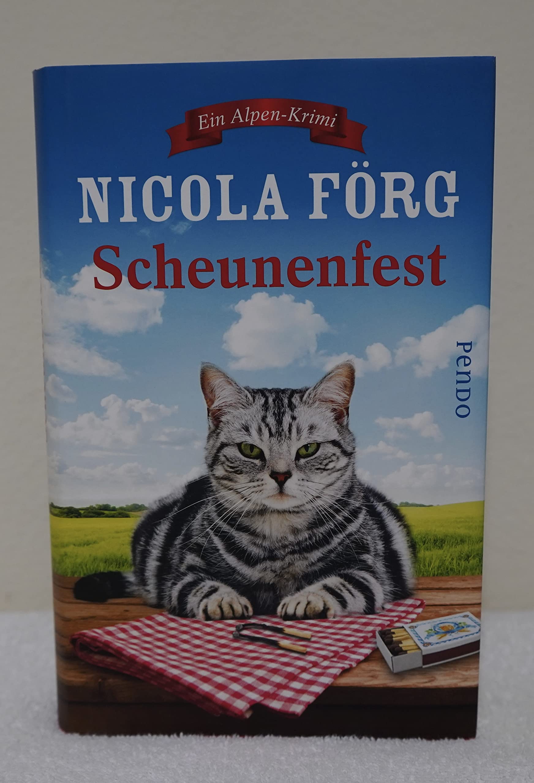 Scheunenfest: Ein Alpen-Krimi (Alpen-Krimis, Band 6) Social Sciences