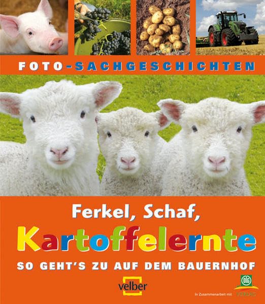 Ferkel, Schaf, Kartoffelernte Non-fiction books for kids