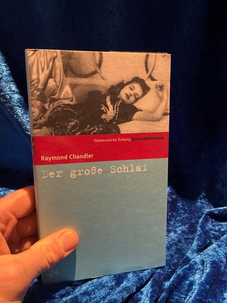 Der große Schlaf Contemporary literature Books