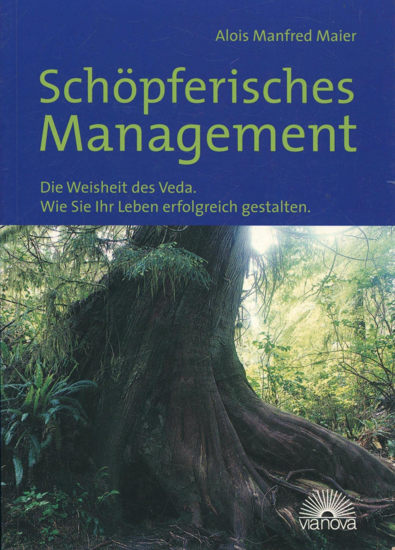 Product Image: Schöpferisches Management