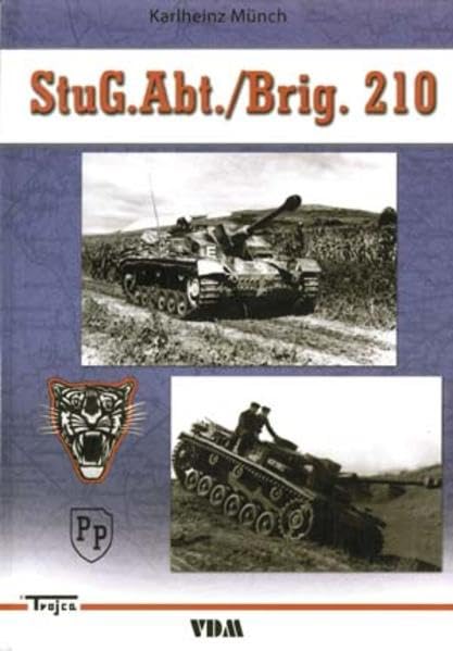 StuG Abt./Brig. 210 Politics & History