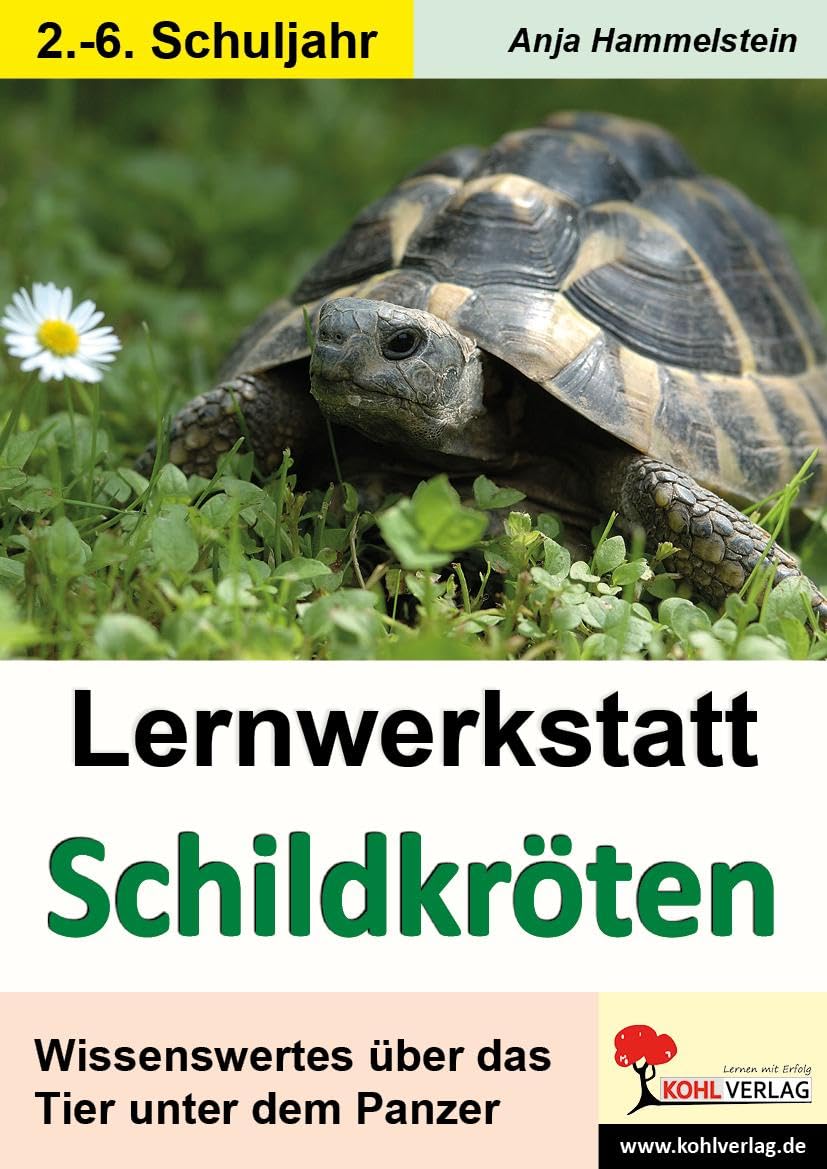Lernwerkstatt Schildkröten: Wissenswertes über das Tier unter dem Panzer Natural Sciences