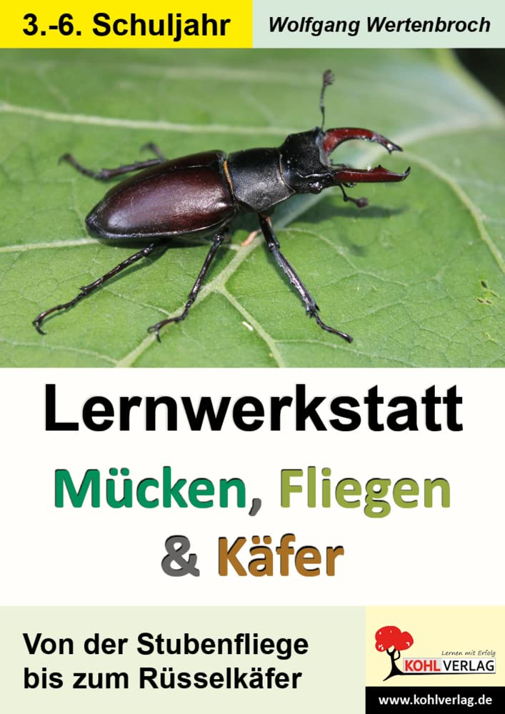 Lernwerkstatt Mücken, Fliegen und Käfer: Von der Stubenfliege bis zum Rüsselkäfer Study Guides