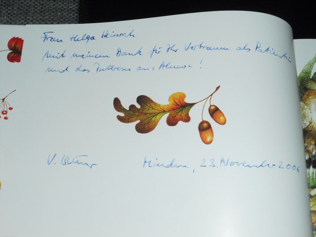 Product Image: Aluco die kleine Eule