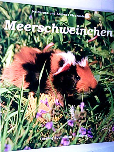 Meerschweinchen Pets
