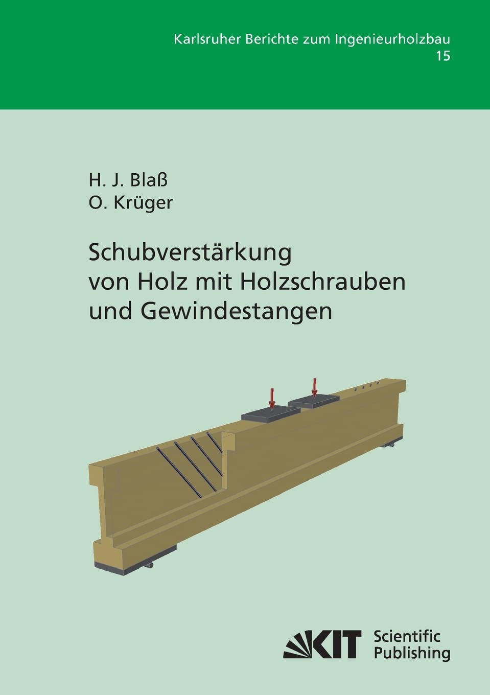 Schubverstärkung von Holz mit Holzschrauben und Gewindestangen (Karlsruher Berichte zum Ingenieurholzbau) Media & Communication