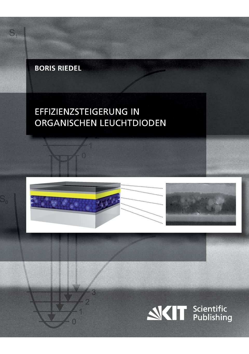 Effizienzsteigerung in organischen Leuchtdioden Natural Sciences