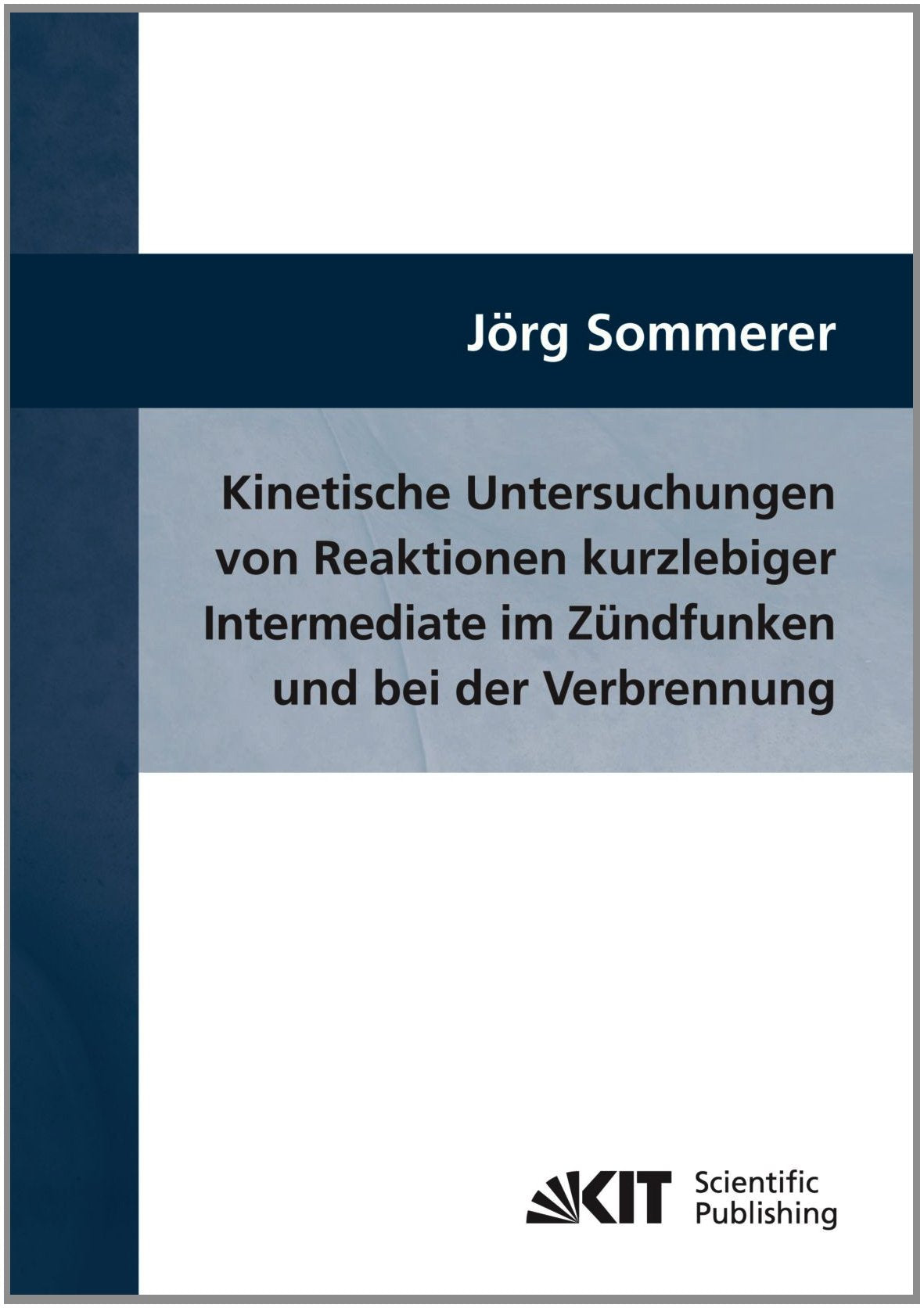 Kinetische Untersuchungen von Reaktionen kurzlebiger Intermediate im Zündfunken und bei der Verbrennung: Dissertationsschrift Natural Sciences