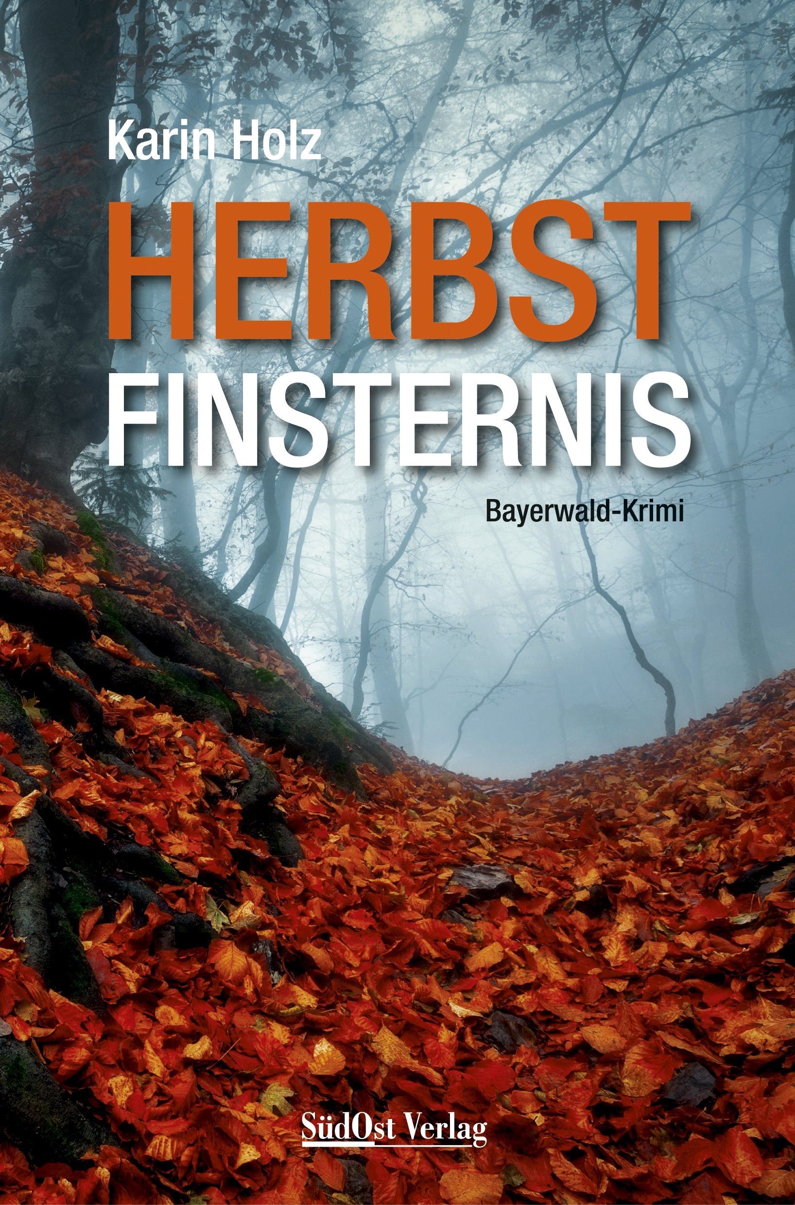 Herbstfinsternis: Bayerwald-Krimi Contemporary literature