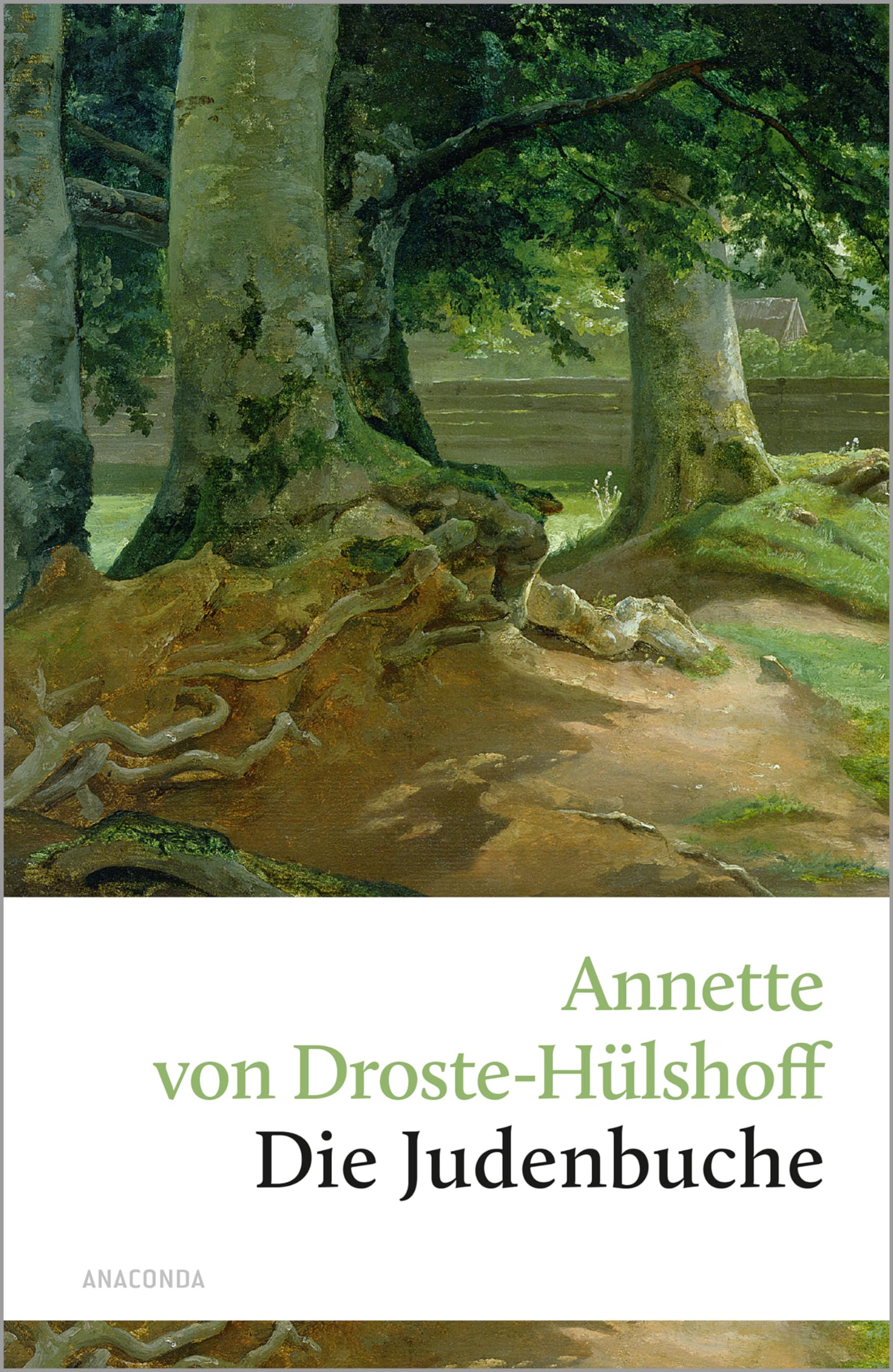 Die Judenbuche Classics
