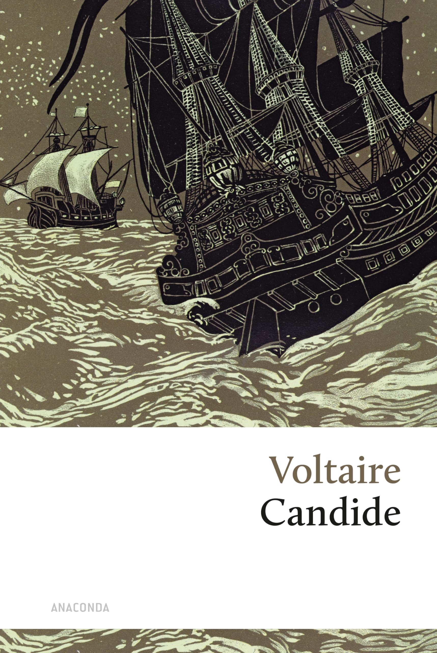 Candide Contemporary literature Books