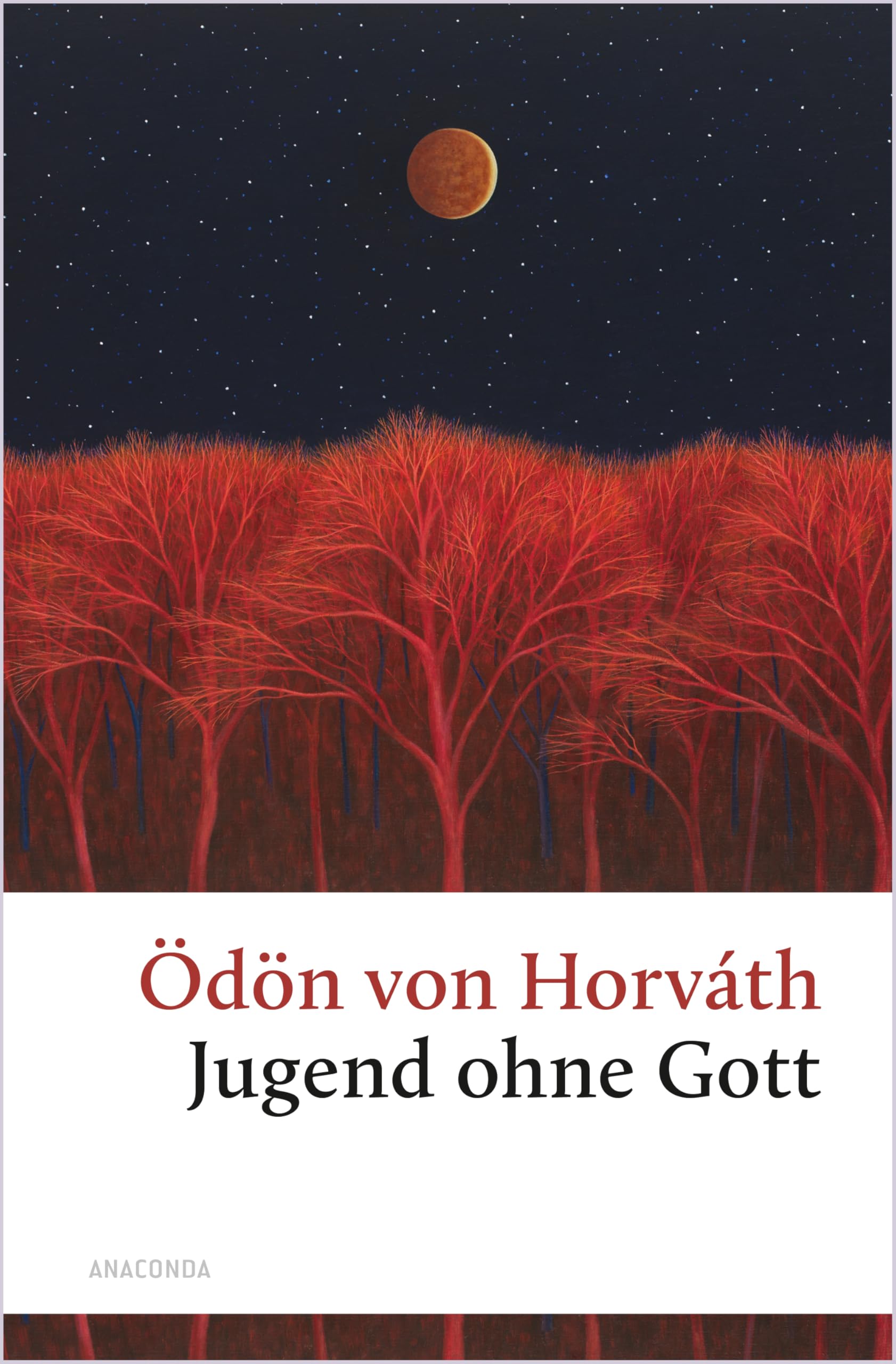 Jugend ohne Gott Social Sciences Books