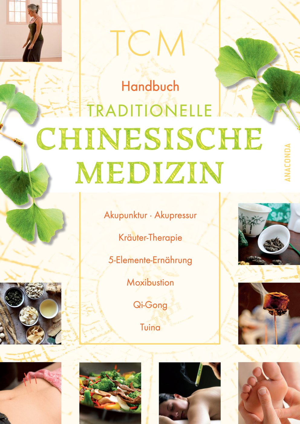 Handbuch Traditionelle Chinesische Medizin Medicine