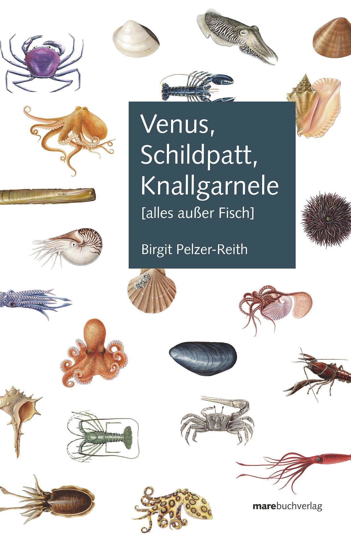 Venus, Schildpatt, Knallgarnele Leisure, Home & Garden Books