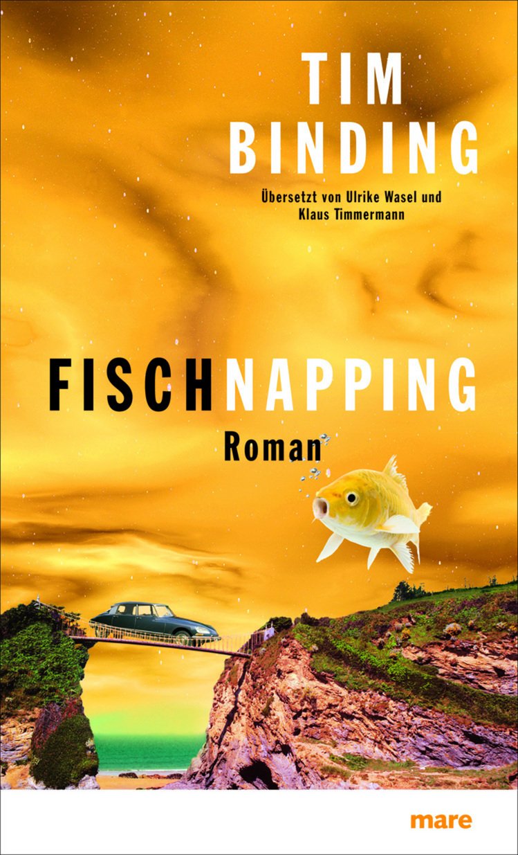 Fischnapping Contemporary literature Books