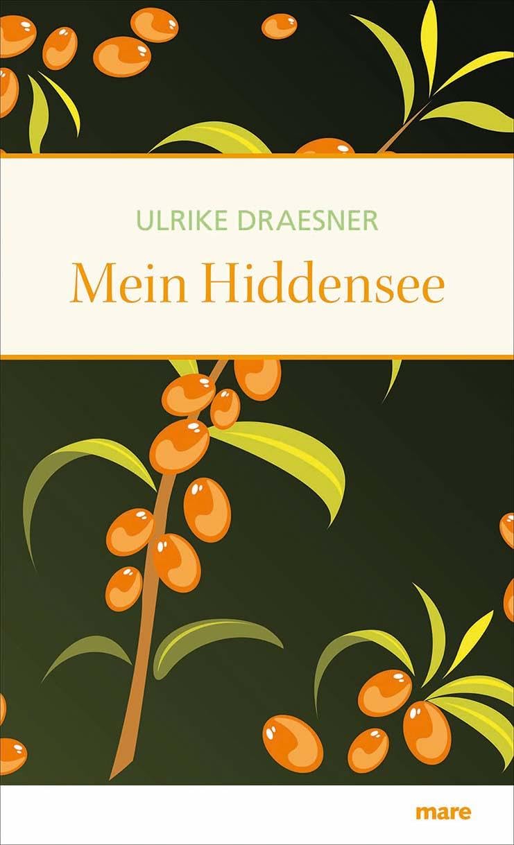 Mein Hiddensee Contemporary literature Books