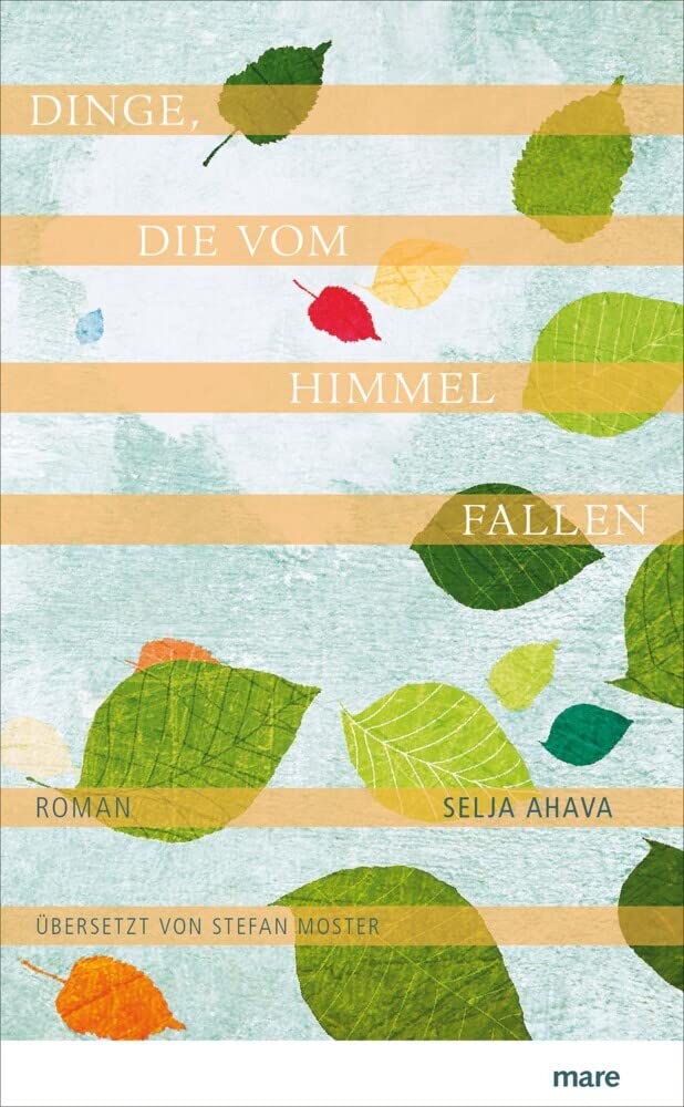 Dinge, die vom Himmel fallen Contemporary literature Books