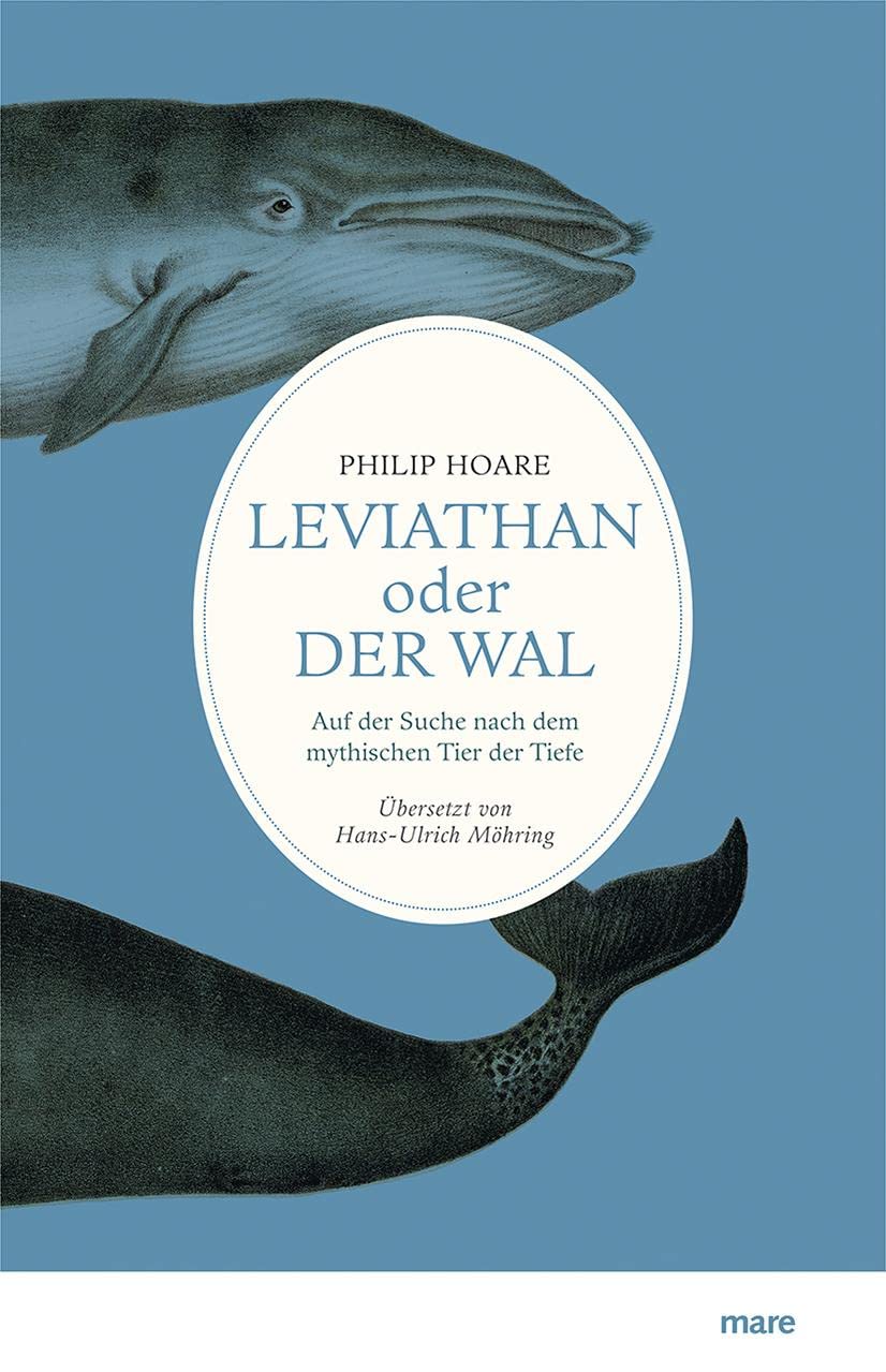 Leviathan oder Der Wal Mathematics