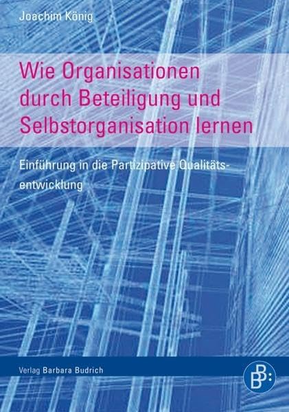 Wie Organisationen durch Beteiligung und Selbstorganisation lernen Social Sciences