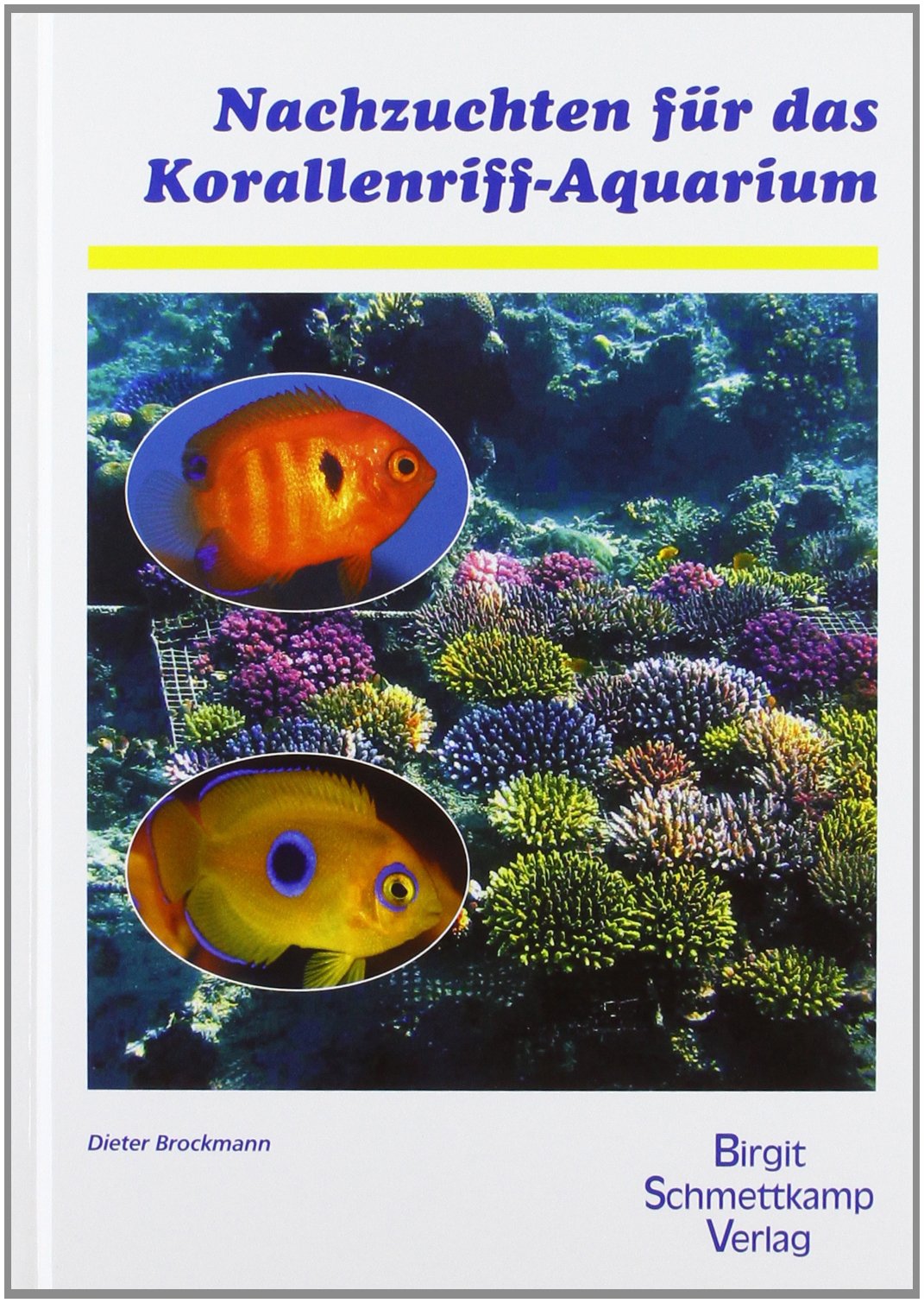 Nachzuchten für das Korallenriff- Aquarium Leisure, Home & Garden