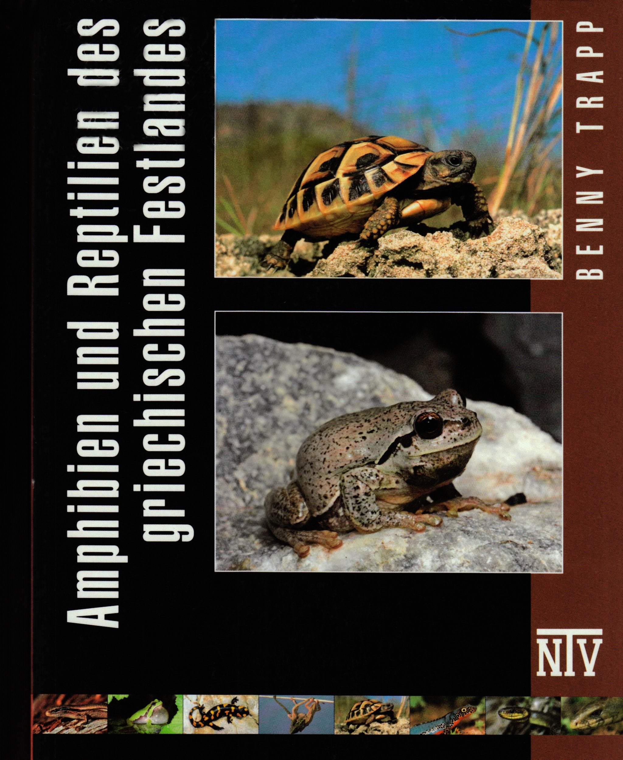 Reptilien und Amphibien des Griechischen Festlandes Pets