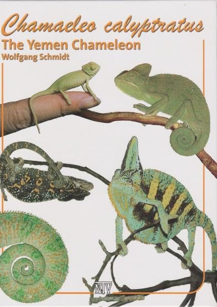 Chamaeleo Calyptratus: The Yemen Chameleon book