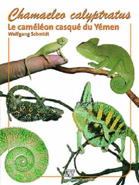 Chamaeleo calyptratus: Le camaéléon casqué du Yémen book