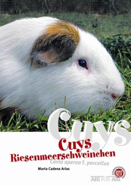 Cuys - Riesenmeerschweinchen Pets